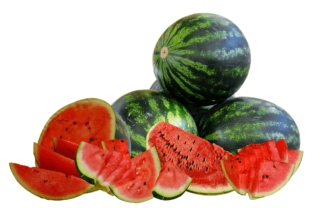 여름철 시원한 달콤한 수박