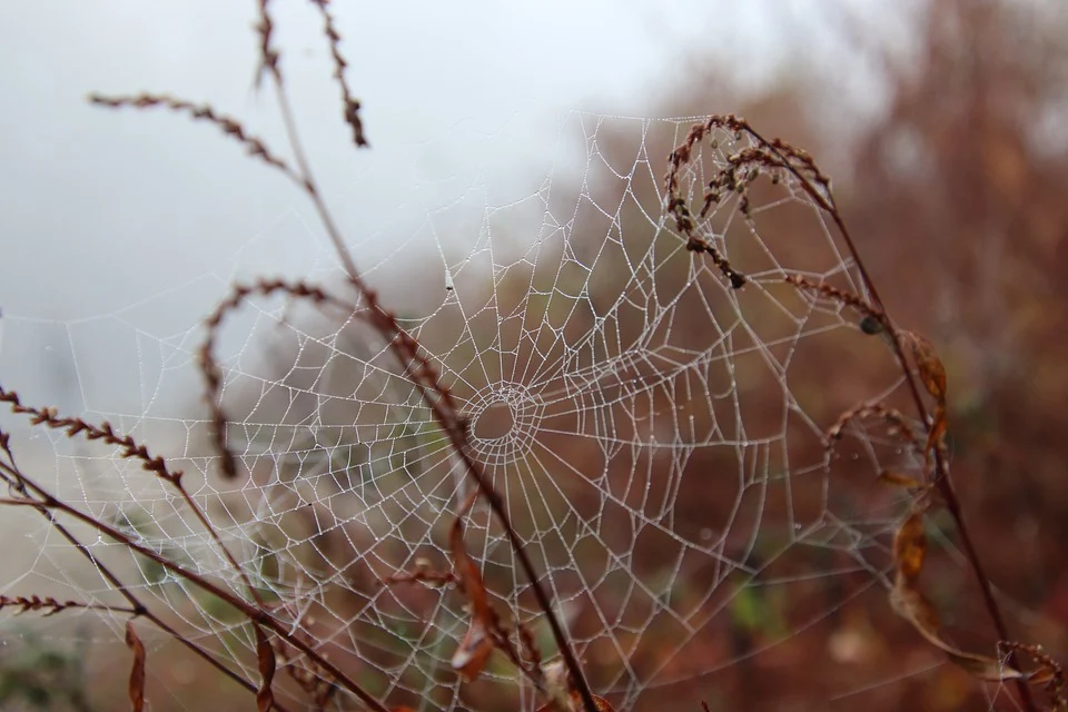 기회 포착은 기다림