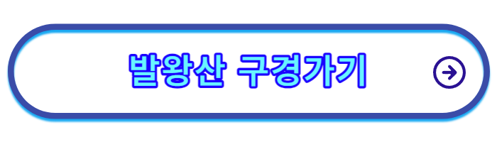 발왕산-케이블카-요금