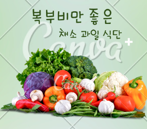 채소식단