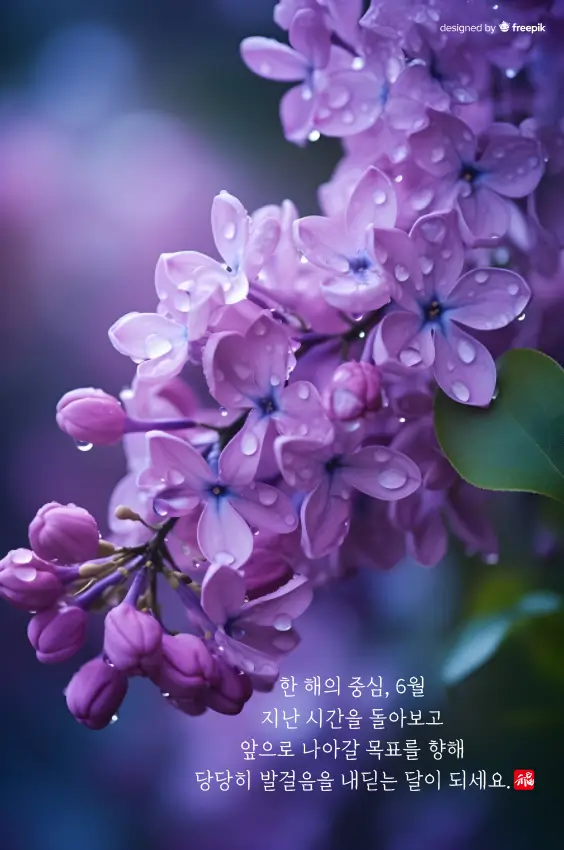 6월-이미지-10