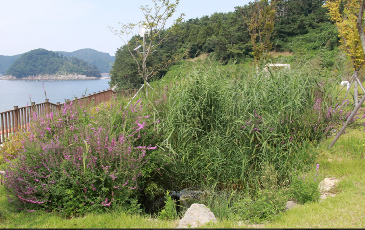 한려해상 생태탐방원 야외산책로