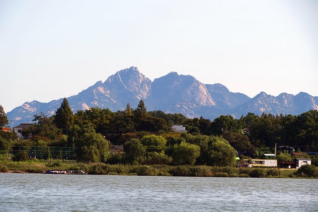AI와 도시 나무 정비 필요 시기 자동 알림 시스템
