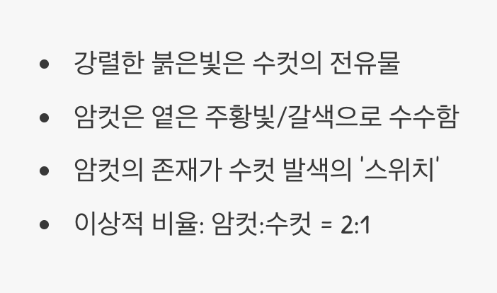 발색의 비밀, '수컷'과 '암컷'의 조화