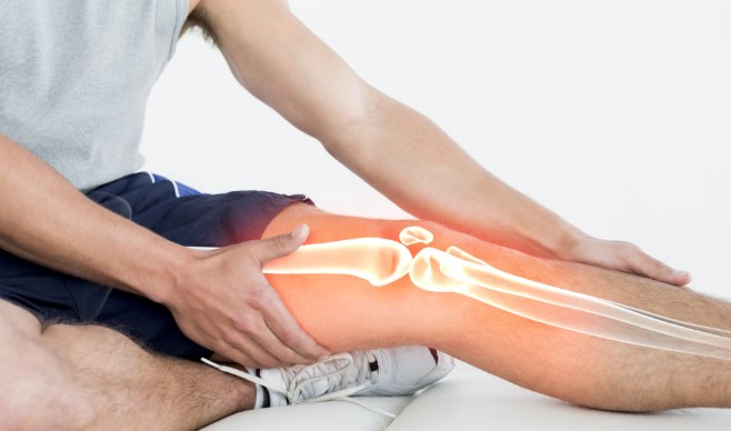 슬개골 탈구 증상 6가지