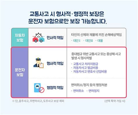 손해보험가입