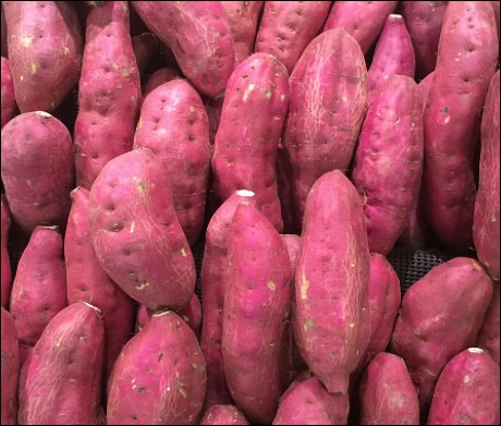 고구마 효능 (7)