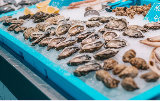 노로바이러스 전염