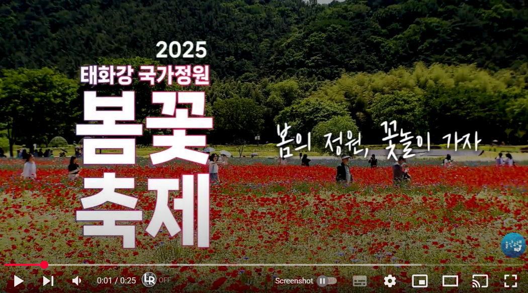 태화강 봄꽃축제 유튜브영상