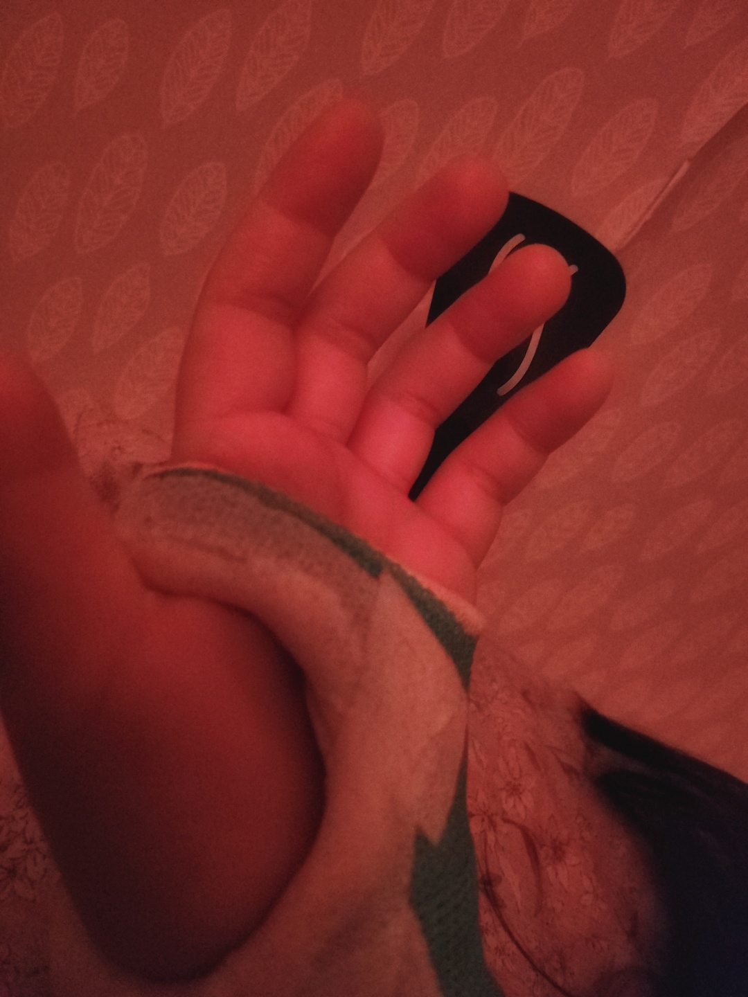 아이장염 캄필로박터균