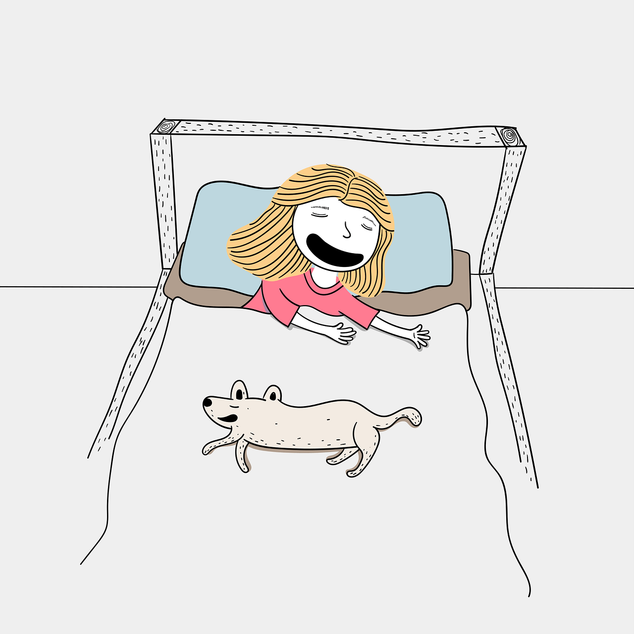 수면 불면증 극복