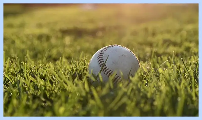 프리미어12 중계방송 바로보기