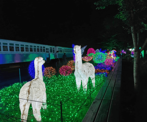 노원-첫번째-2023-크리스마스축제-노원불빛정원-일정-프로그램-장소-안내