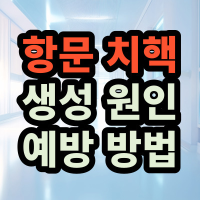 항문치핵-빨간글씨-썸네일