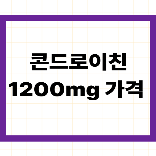 콘드로이친 1200mg 가격 비교 —
제품 유형별 가격대·구매 채널
현명하게 고르는 완벽 가이드 2026