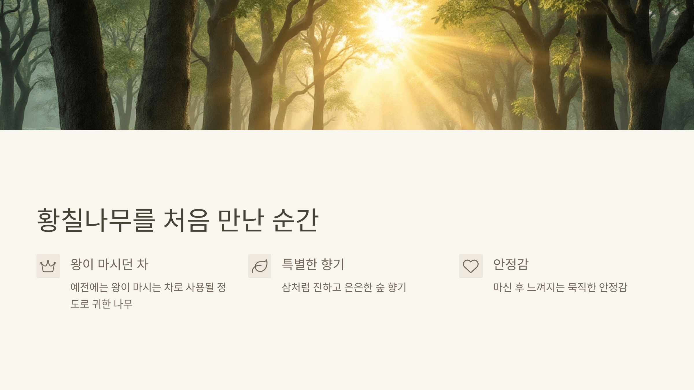 황칠나무 사진입니다.