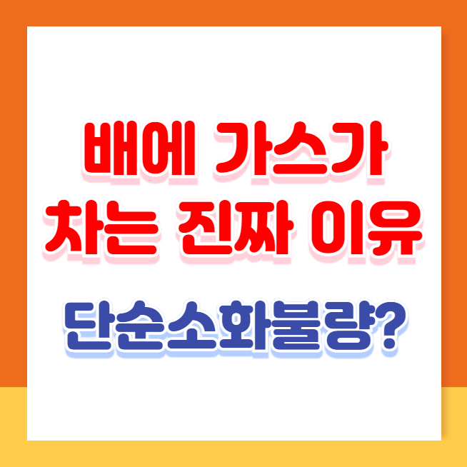 가스 찬 배, 단순 소화불량일까? 배에 가스가 자주 차는 진짜 이유?