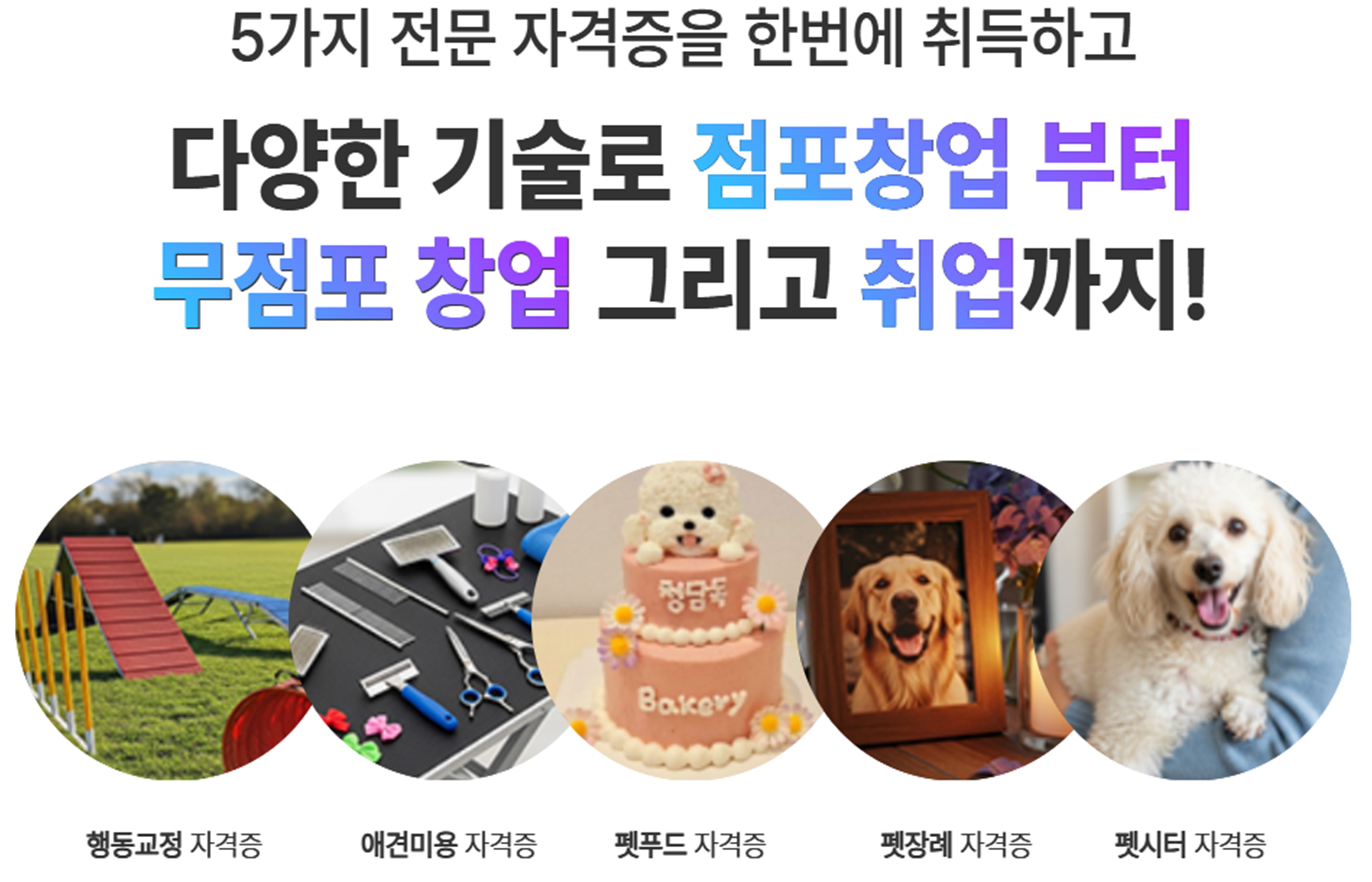 인천애견미용학원수강료