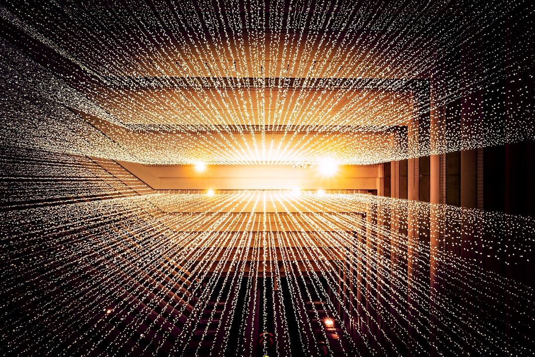 자료 (data)