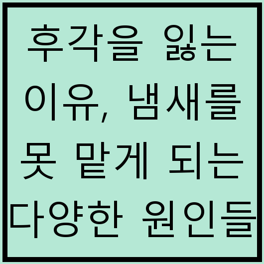 후각을 잃는 이유, 냄새를 못 맡게 되는 다양한 원인들