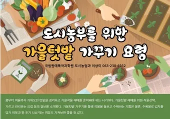 가을 텃밭 작물 추천 상추 열무 시금치 쌈채소 재배법_3