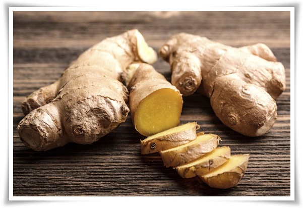 &quot;10월 하순, 생강 수확 하세요!&quot; 생강의 매력과 건강 효능, 최적의 수확시기! 생강의 효능과 활용!