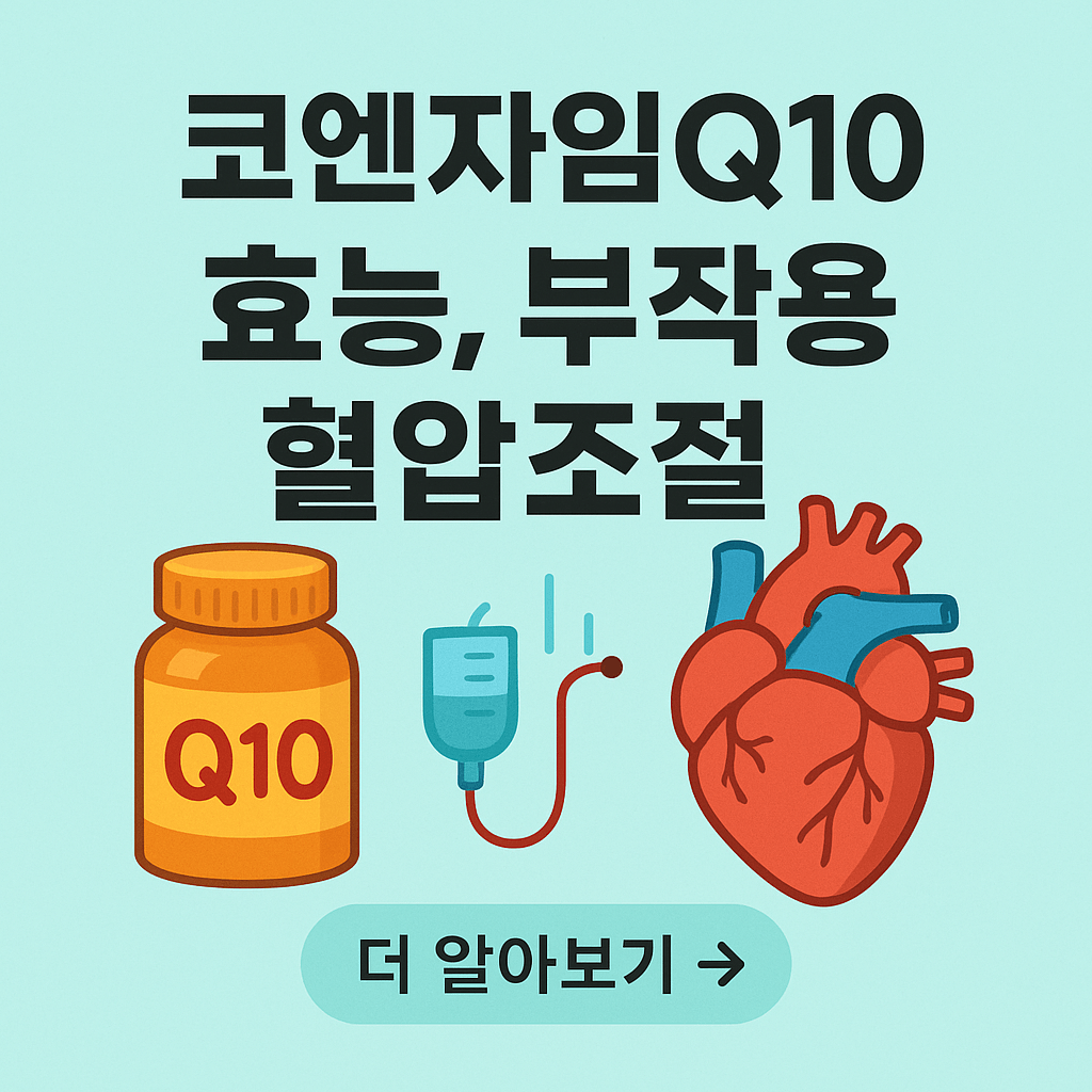 코엔자임Q10 효능과 부작용, 혈압 조절 효과 총정리