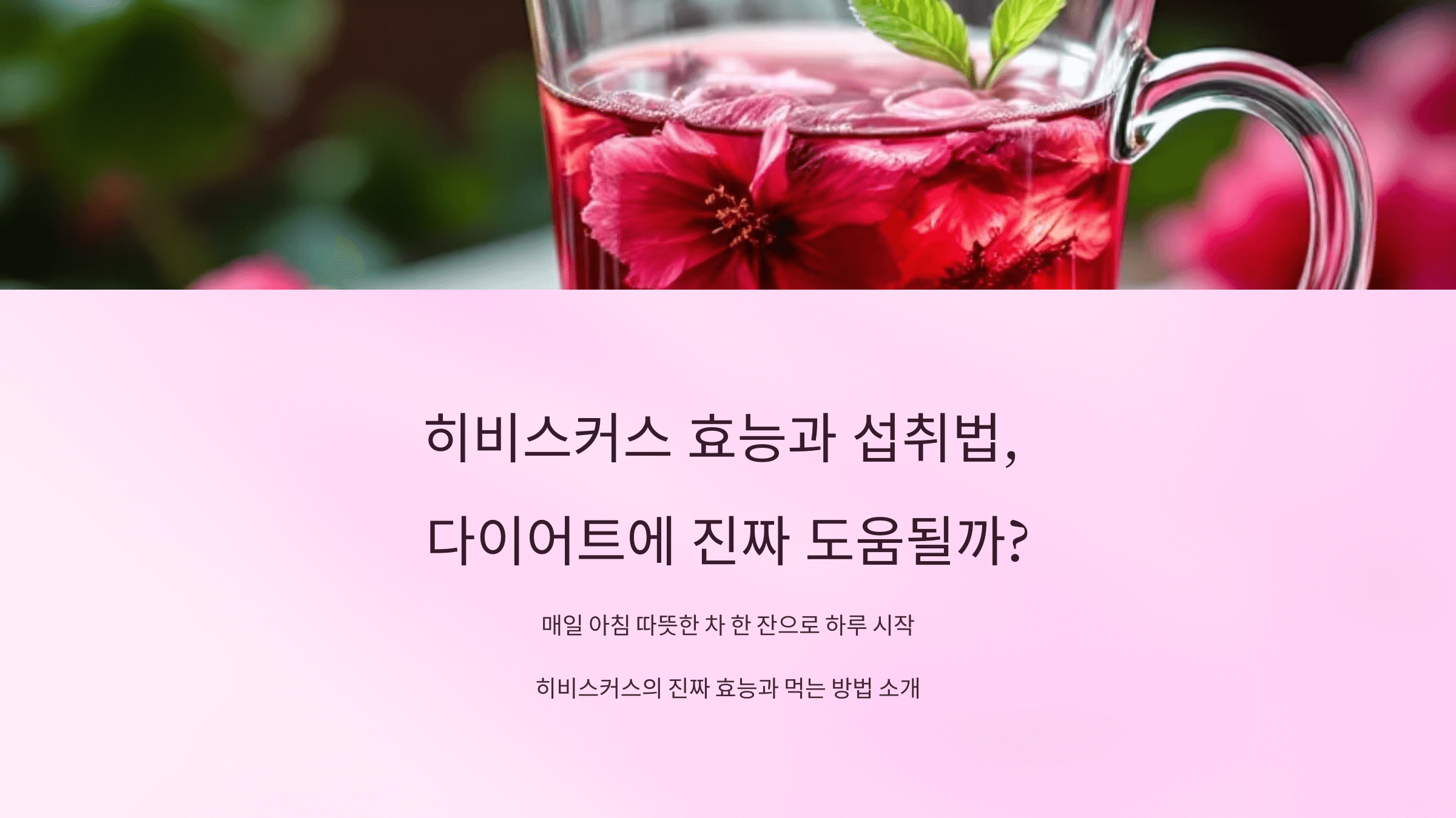 히비스커스 사진입니다.