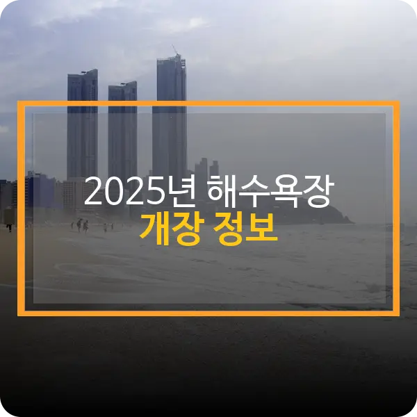 2025 해수욕장 개장 정보
