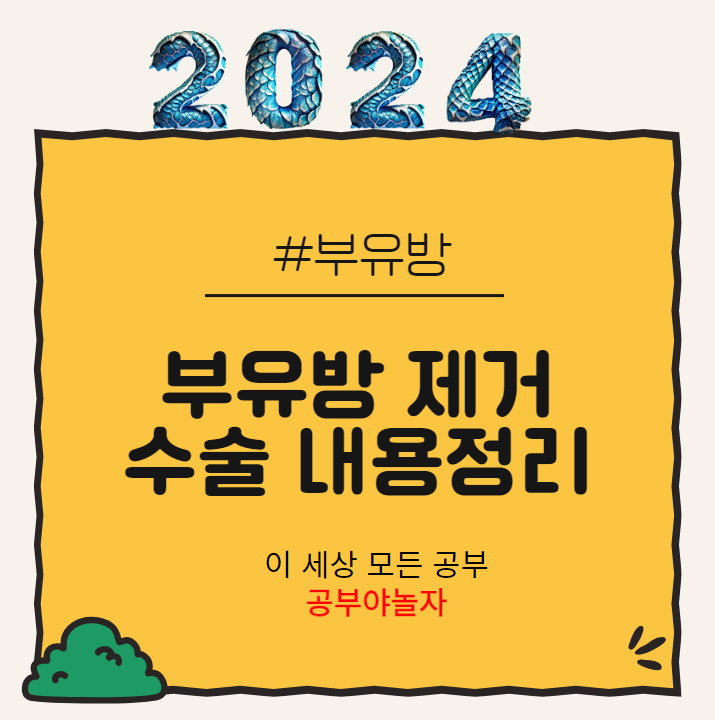 부유방 제거 수술 내용정리