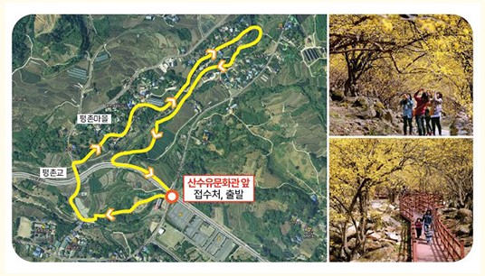 산수유 꽃길 걷기 코스 사진