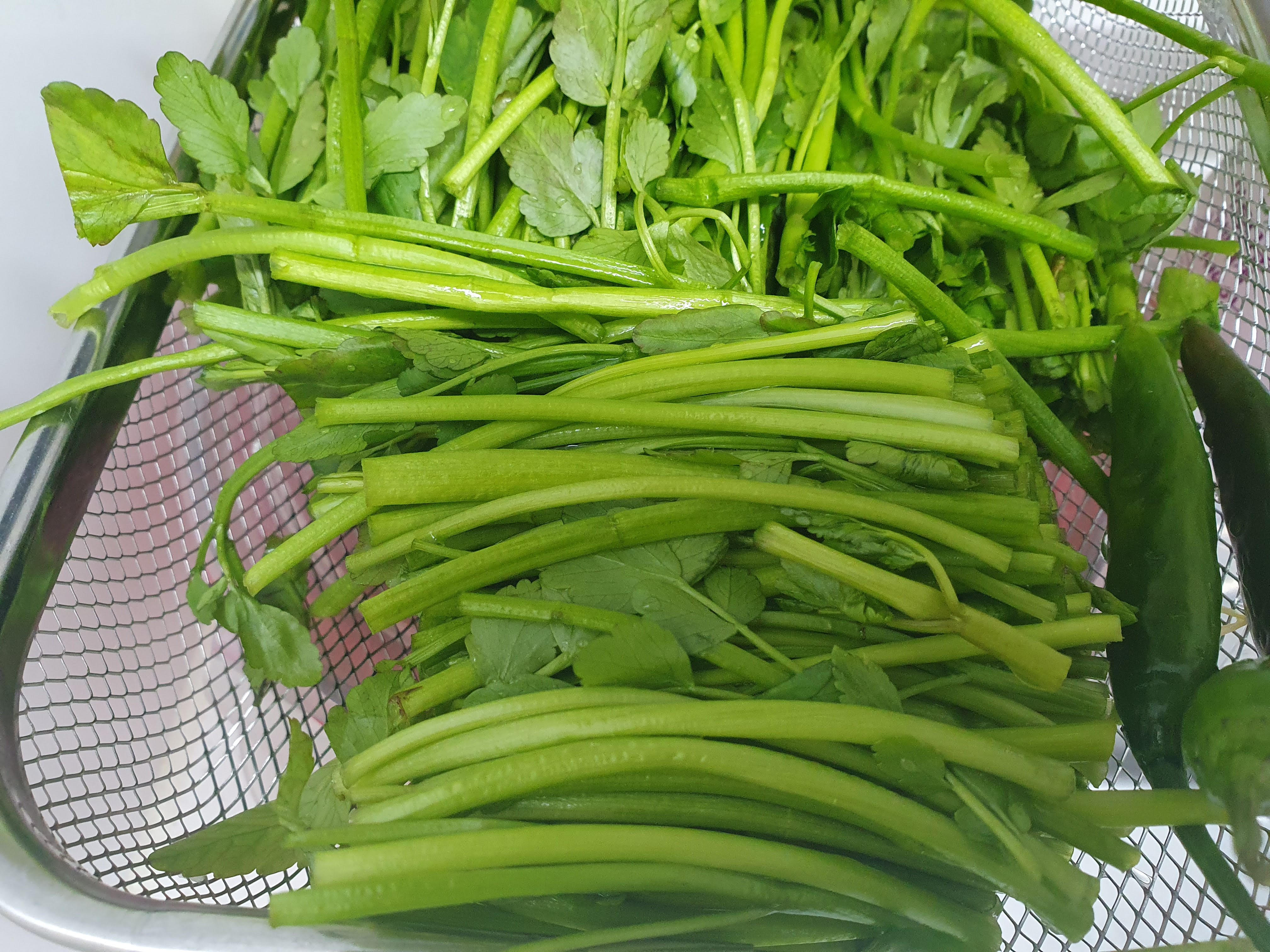 동태알탕 미나리