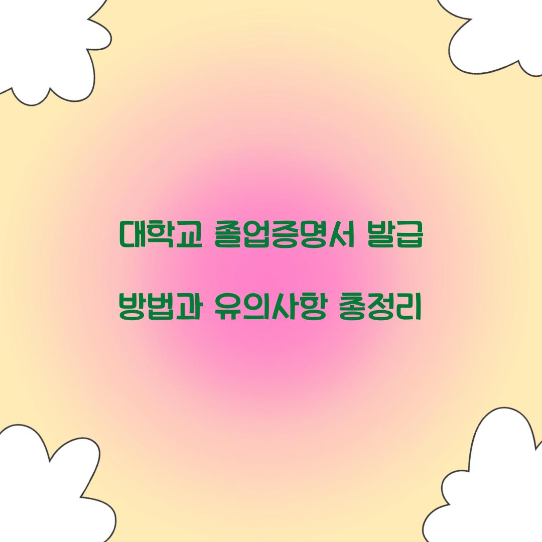 졸업증명서 대학교