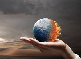 🌐 이제는 주목!! 트렌드