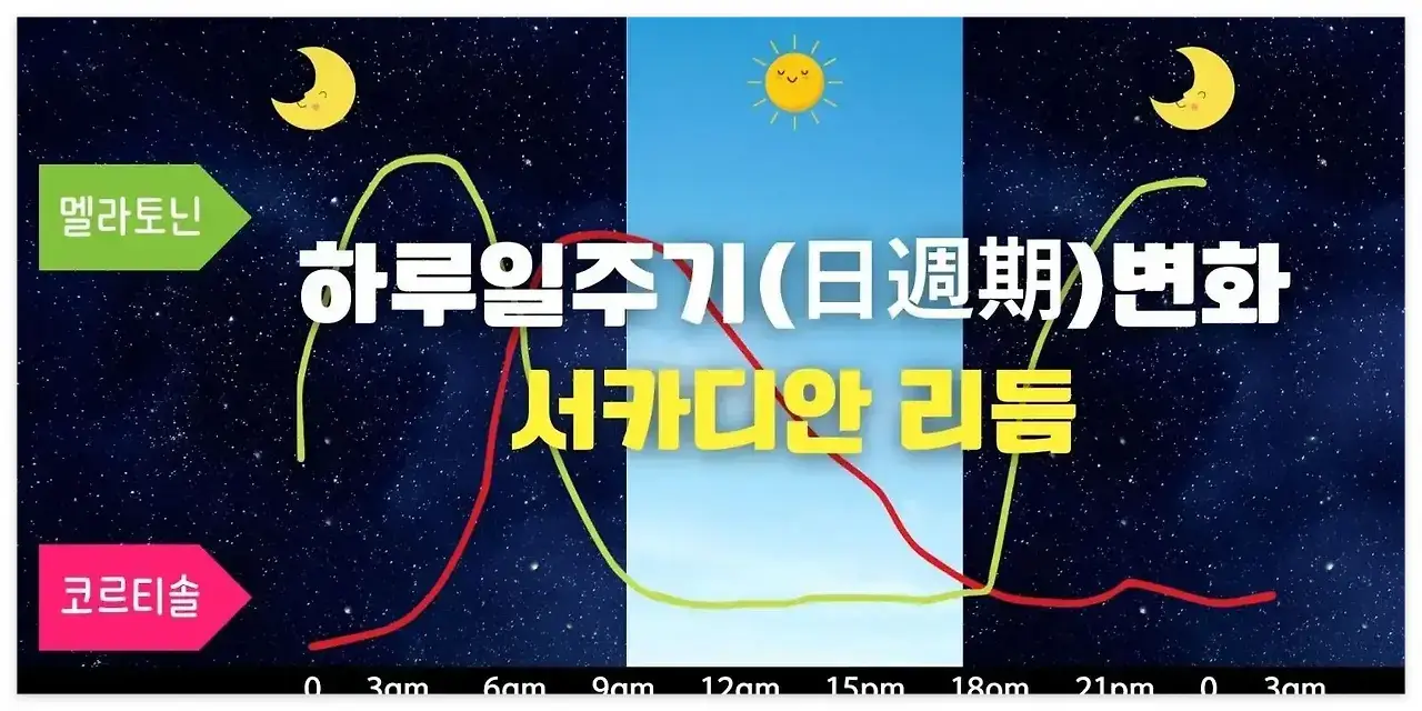 멜라토닌영양제