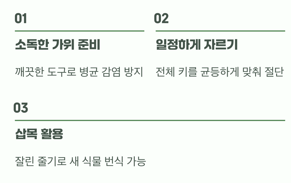 어떻게 잘라야 할까? (실전 팁)