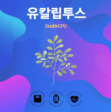 유칼립투스 알아보기