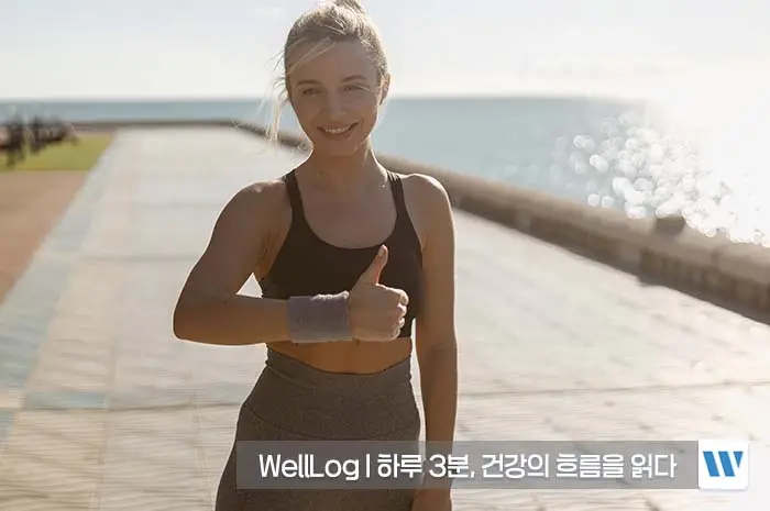 콘드로이친 효능