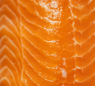 지방간에 좋은 음식 10 영양제 식단