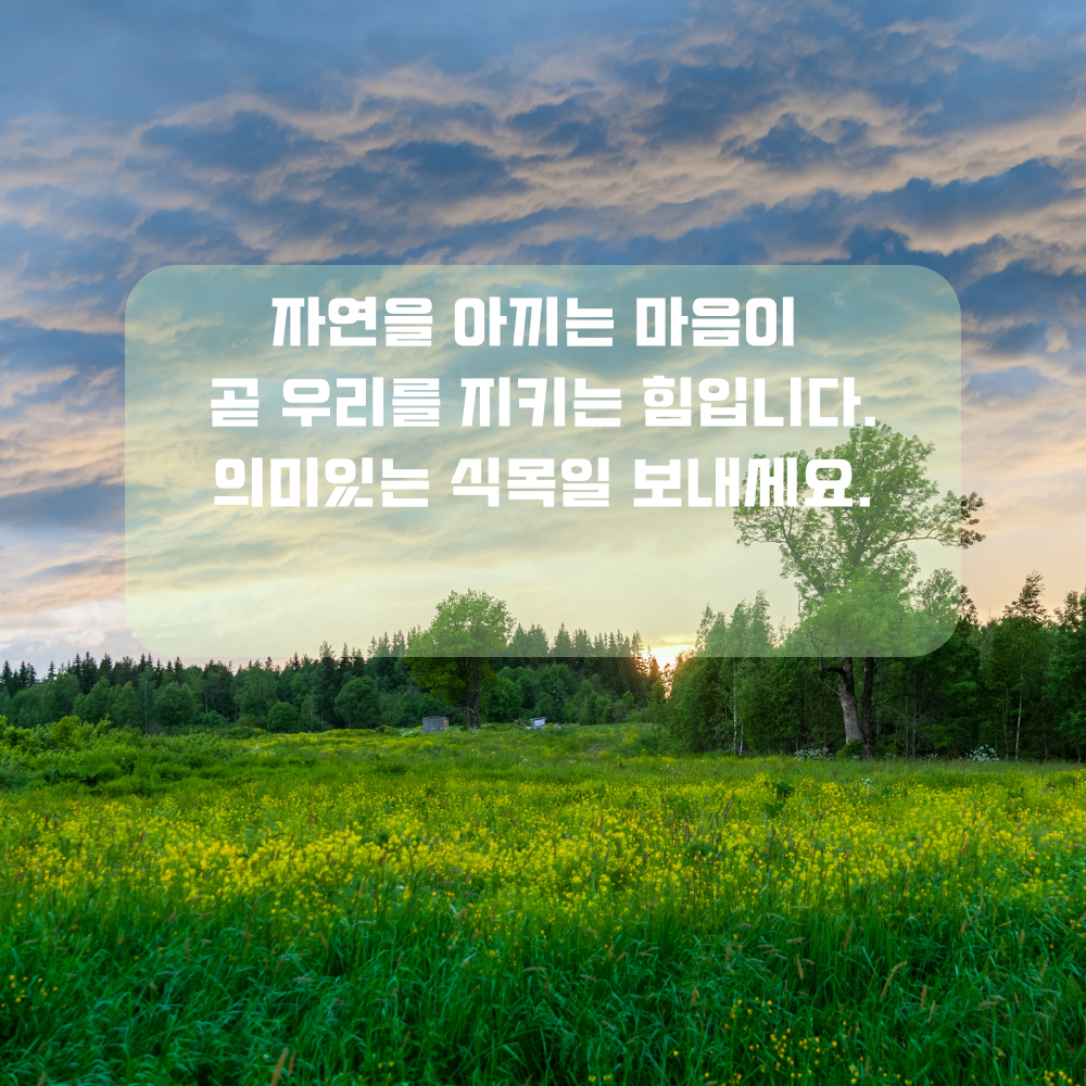 4월 인사말 식목일 인사글귀 좋은 글 문구 나무 숲 사진 이미지 모음집