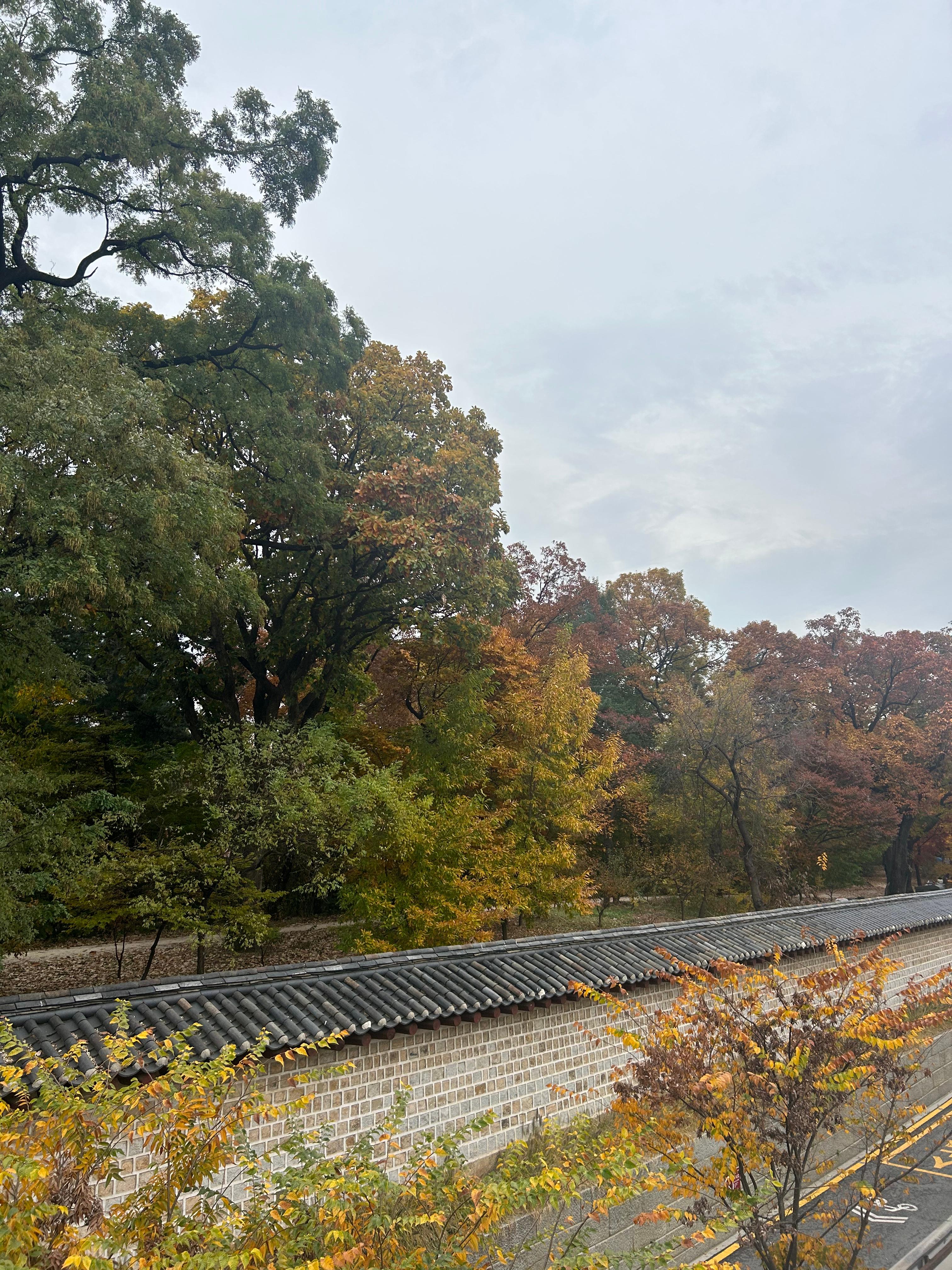 트마리 루프탑에 바라본 종묘