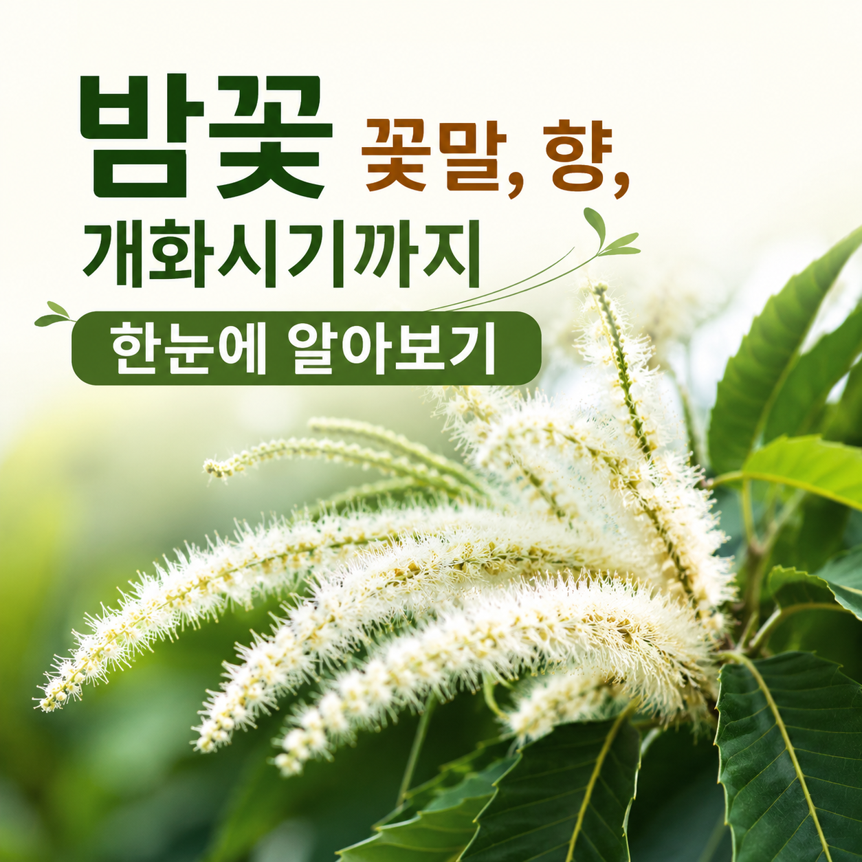 밤꽃 꽃말