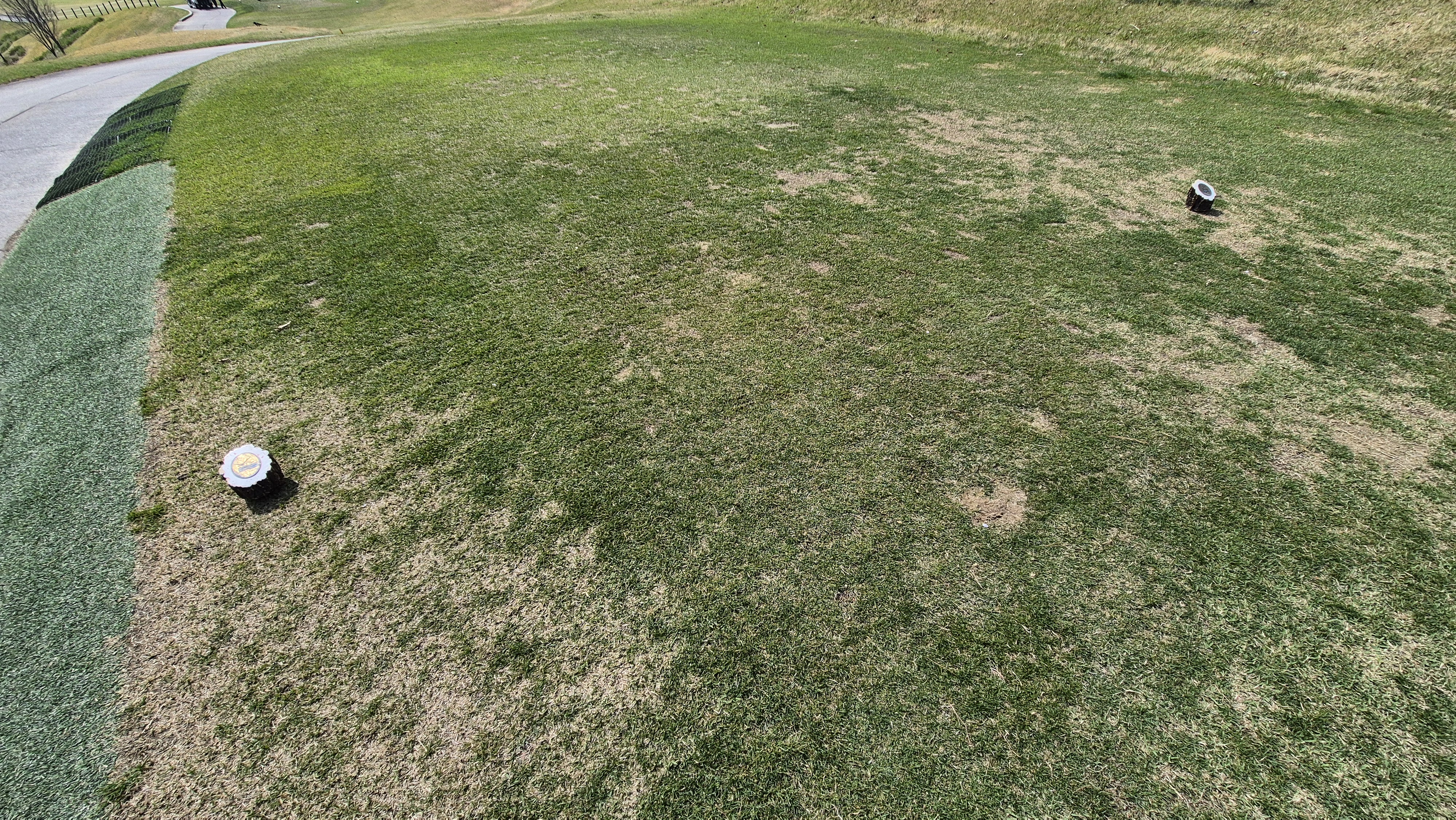 진양밸리 크리크-밸리 코스 티잉구역상태