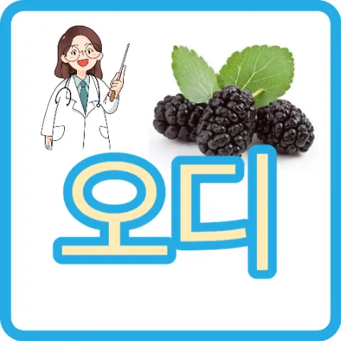 오디 효능 부작용 멀베리 효능 오디 칼로리 오디맛우유 오디즙