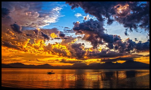 아르기닌 효능 알아보기10