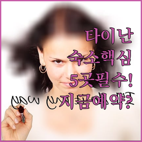 타이난 호텔 5가지 핵심 위치별 추천..