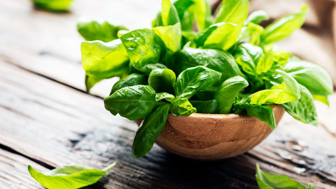 바질(Basil)