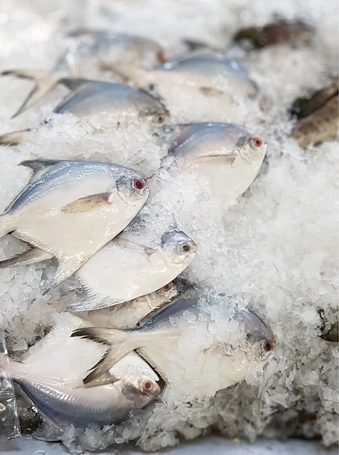 디지털 온누리 상품권 구입