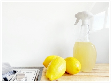 전자레인지 청소법 냄새 제거