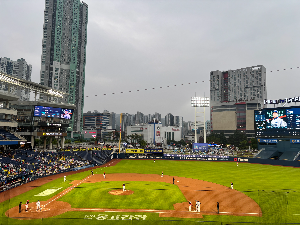 야구 직관 한번 가면 못 끊는 이유